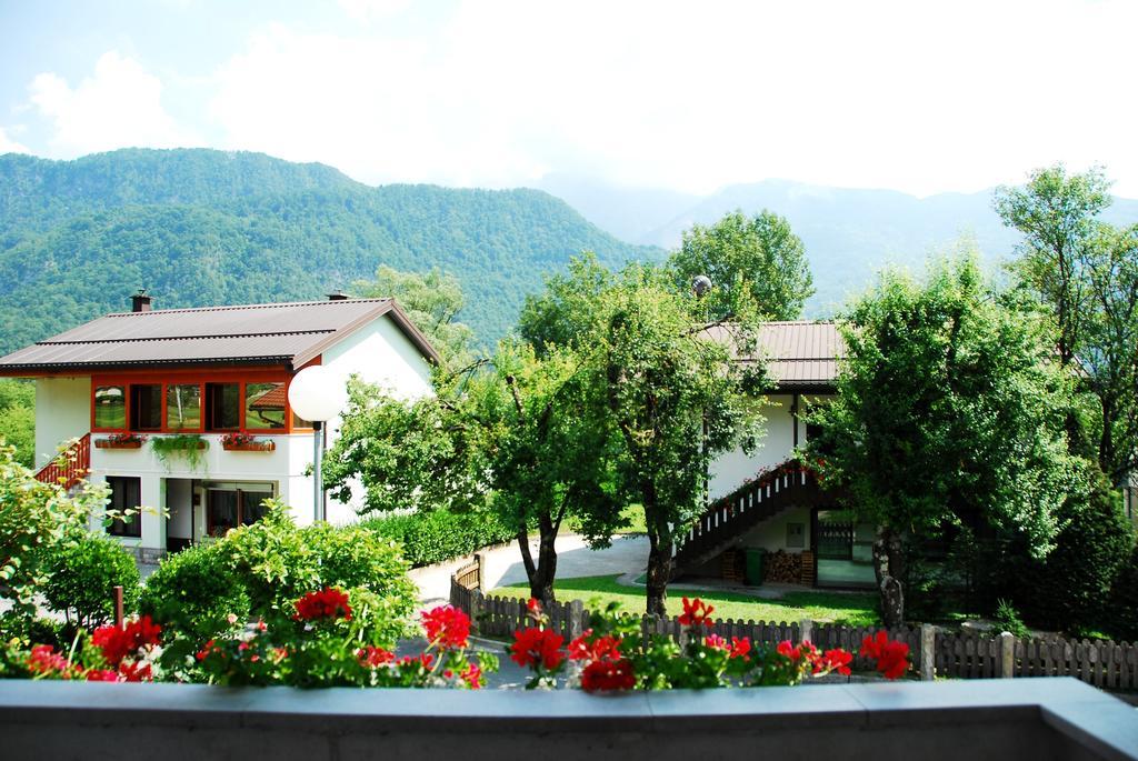 Budget Homestay Kobarid Pokój zdjęcie