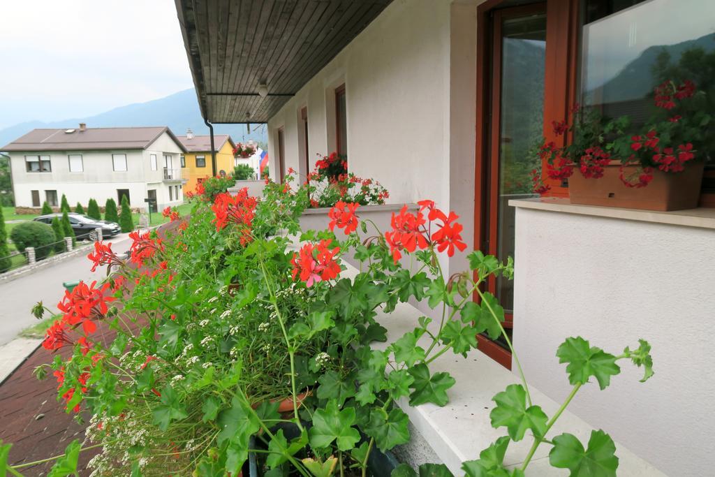 Budget Homestay Kobarid Zewnętrze zdjęcie