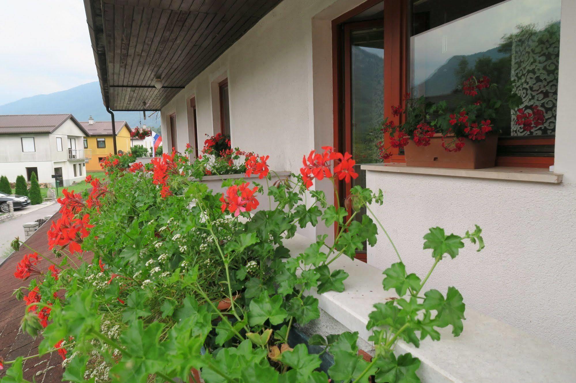 Budget Homestay Kobarid Zewnętrze zdjęcie